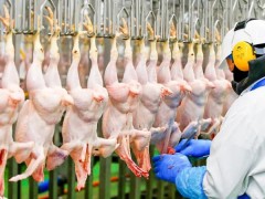 韩国迅速出台进口限制措施韩国农林畜产食品部宣布，自8月17日以后装载的阿根廷家禽及相关产品全面暂停进口。此举源于阿根廷布宜