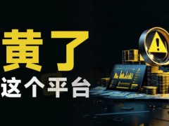 俗话说：“山雨欲来风满楼”，这不，外汇平台BDSWISS最近就是那个快被吹塌的“楼”。

出金?像按了暂停键。