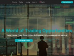 在投资世界里，人人都在寻找下一个“风口”。这时，一个名为NEW Future的平台闪亮登场，它的名字本身就充满了诱惑力，仿佛在承诺