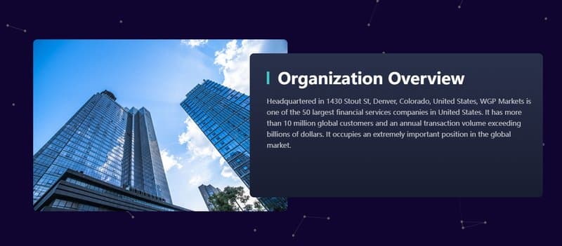 WGP Markets的公司背景