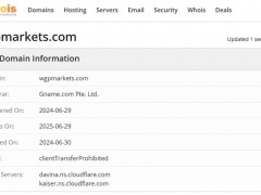 WGP Markets是一家成立于 2024 年的差价合约 (CFD) 经纪商，总部位于伦敦。该公司提供外汇、贵金属、原油、指数和加密货币等交易