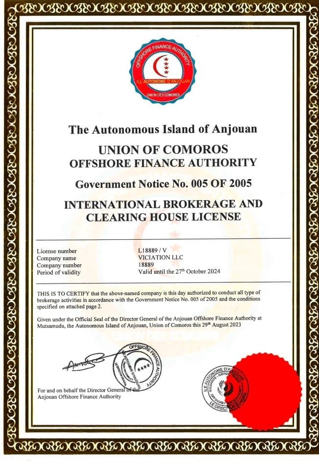 Viciation的公司背景