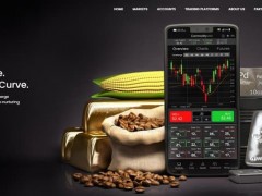 Viciation是一家成立于 2023 年的差价合约（CFD）经纪商，总部位于南非的约翰内斯堡。该公司声称提供外汇、商品、数字货币等多种