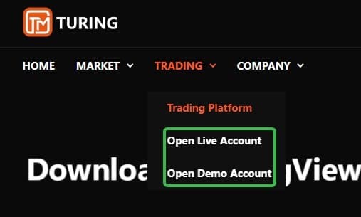 Turingfx的账户类型