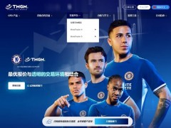 对于外汇平台而言，提供多样化的交易工具不仅仅是吸引投资者的手段，更是提升平台竞争力的重要策略。TMGM外汇交易平台凭借其丰富