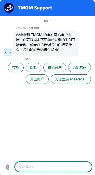 TMGM官网的在线聊天页面
