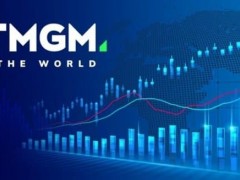 在选择外汇经纪商时，投资者最关注的莫过于平台的正规性与安全性。TMGM（TradeMax Global Markets）自2013年成立以来，凭借其广