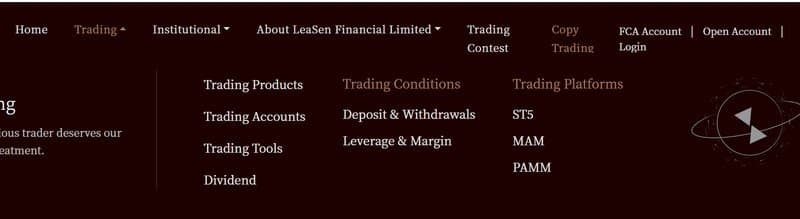 LeaSen Financial Limited