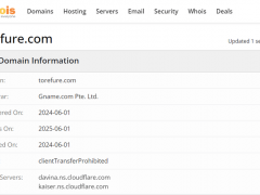 什么是TOREFURE LTD?TOREFURE LTD是一家差价合约经纪商，其官网域名注册于2024年6月1日。该公司主要面向零售和机构客户，提供广