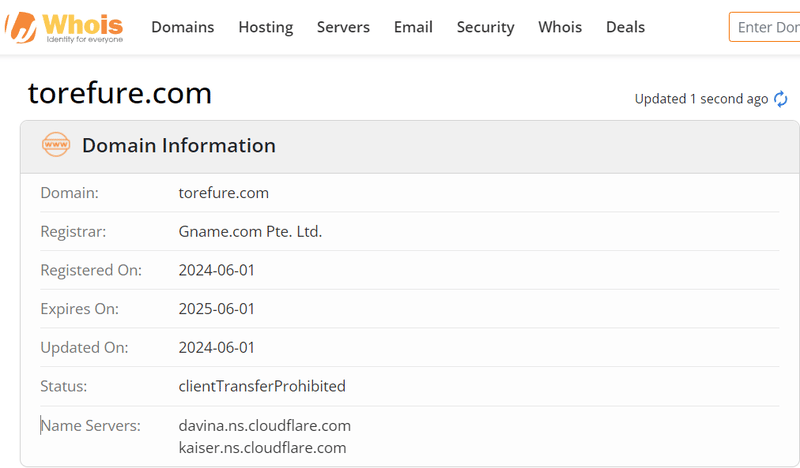 TOREFURE LTD domin register time