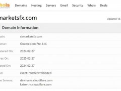 公司概况和疑点：SK Markets，注册名称为“SK Markets”，通过其网站https://www.skmarketsfx.com/index.html进行运营。该域名注