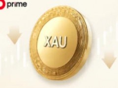 为全面提升 D Prime 在全球市场的竞争力，从 2025 年 8 月 20 日起，D Prime 将陆续下调 ECN﹑STP 和 Cent 账户 XAUUSD 等产品的点差。