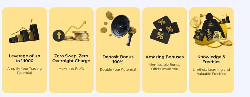 Wise Market的杠杆