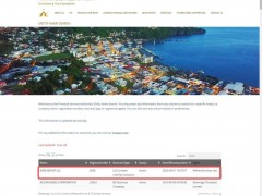 什么是Wise Market?Wise Market，也被称为Wise Group，是一家在圣文森特和格林纳丁斯注册的CFD经纪商。该经纪商提供包括外汇、股