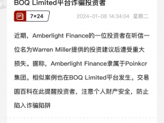 近期，Amberlight Finance的一位投资者在听信一位名为Warren Miller提供的投资建议后遭受重大损失。据称，Amberlight Finance隶