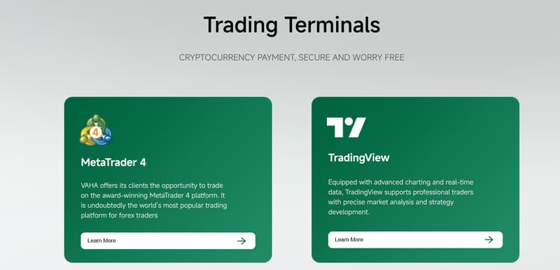 交易平台与技术支持